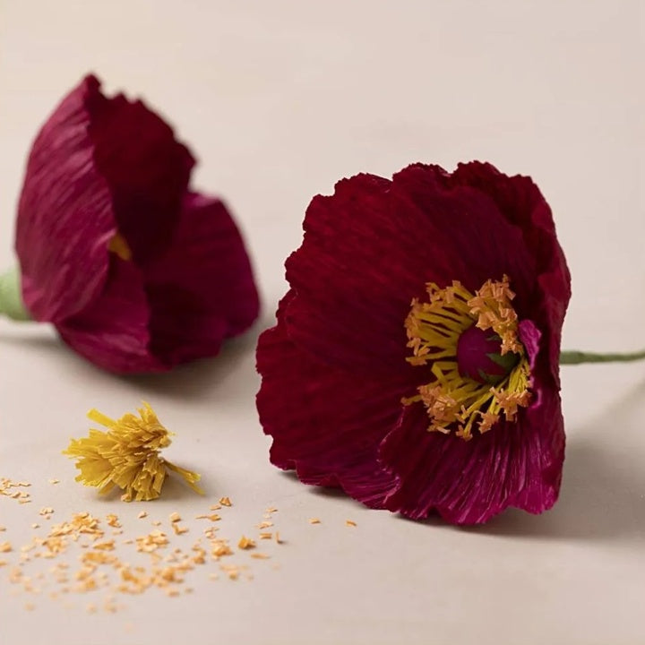 Mini Craft Set | Crepe Paper Poppies — image 3