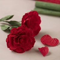 Mini Craft Set | Crepe Paper Roses — image 1