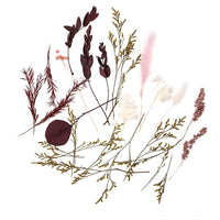 Mini Dried Bouquet “Burgundy Queen” / 20 cm — image 1