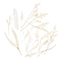 Mini Dried Bouquet “Vanilla Dream” / 20 cm — image 1