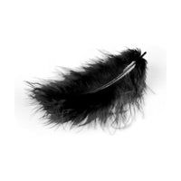 MARABU Feathers, 10/12 cm, 17 pcs – čierne