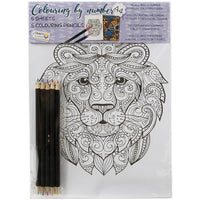 Paint by Numbers - 5 Sheets of Drawing Paper