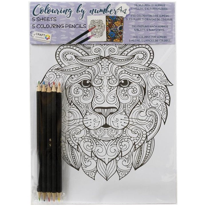 Paint by Numbers - 5 Sheets of Drawing Paper