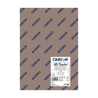 Pastel Paper CANSON Mi-Teintes A3 160 g - 10 sheets – Felt Gray 429