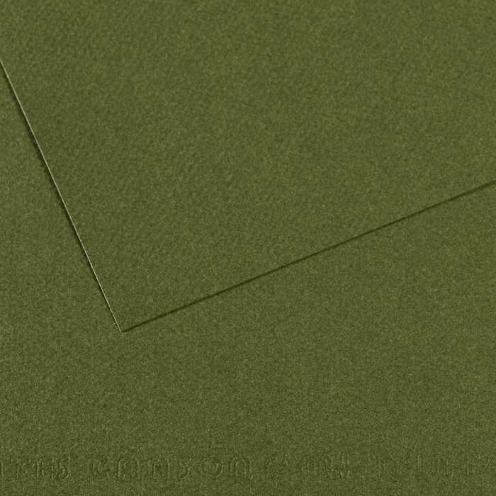 Pastel Paper CANSON Mi-Teintes A3 160 g - 10 sheets – Ivy 448