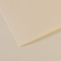 Pastel Paper CANSON Mi-Teintes A3 160 g - 10 sheets – Lily 110