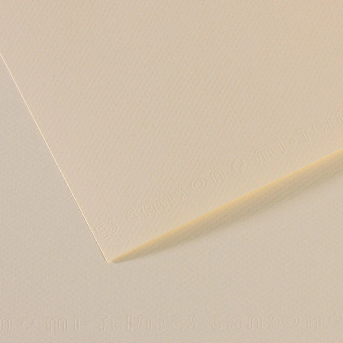 Pastel Paper CANSON Mi-Teintes A3 160 g - 10 sheets – Lily 110