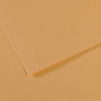 Pastel Paper CANSON Mi-Teintes A3 160 g - 10 sheets – Oyster 340