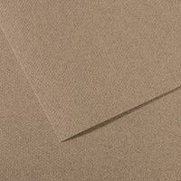 Pastel Paper CANSON Mi-Teintes A4 / 160 g/m² – 50 Sheets – Steel Gray 431