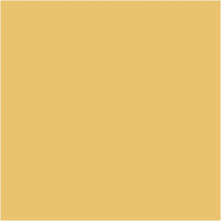 Pentart Chalky Decorative Chalk Paint, 100 ml | Various shades — Image 5