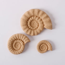 Pentart Elastic Wood Shell Decorations 6.5 x 5.5 cm - 3 pcs