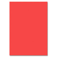 Photo Cardstock 50x70 cm | various colors — image 4