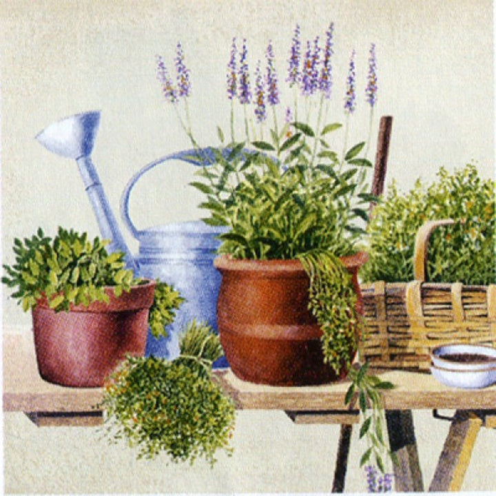 Potting Herbs Decoupage Napkins - 1 pc