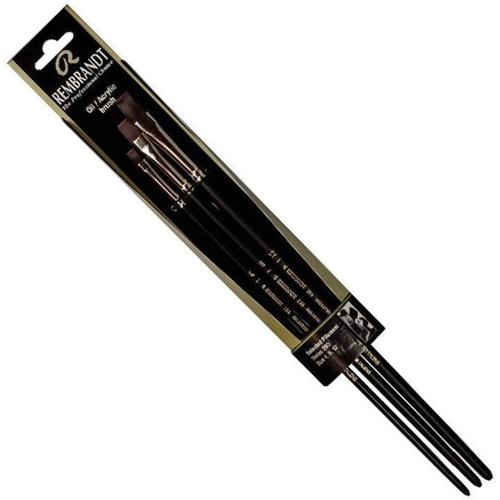 Rembrandt 290 Professional Brush Set