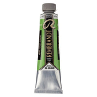 Rembrandt 40 ml Oil Paint | various shades | ARTMiE