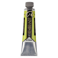 Rembrandt 40 ml Oil Paint | various shades | ARTMiE