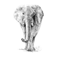 Royal & Langnickel Sketching Set | Choose a Variant – Elephant