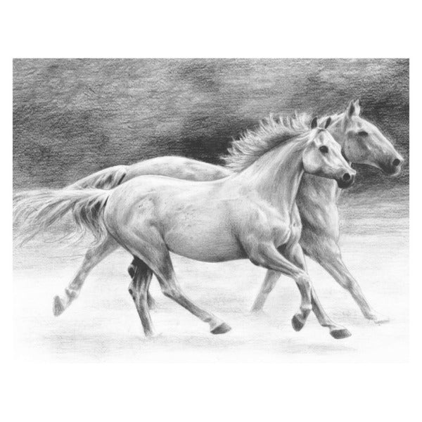 Royal & Langnickel Sketching Set – Horses