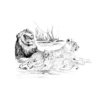 Royal & Langnickel Sketching Set – Lions