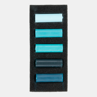 ROYAL TALENS Rembrandt Soft Pastel Set Cool Greens 5 pcs