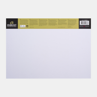 ROYAL TALENS Rembrandt Toned Industrial Grey Sketchpad 180 g - 50 Sheets, A3