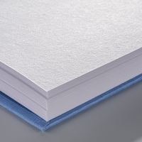 ROYAL TALENS Van Gogh Mix Media Pad 160 g/m², 50 Sheets, A4, Glued
