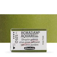 Schmincke Horadam Watercolor Paints, Full Pan – 524 May Green