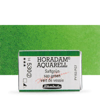 Schmincke Horadam Watercolor Paints, Full Pan – 528 Prussian Green