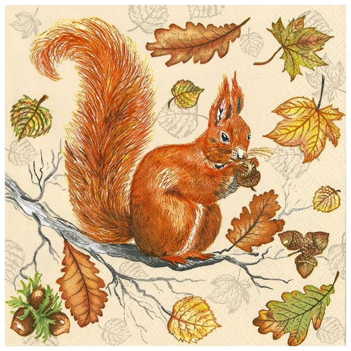 Squirrel Decoupage Napkins - 1 pc