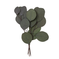 Stabilized Eucalyptus Populus, Green / 4 Stems, 20 cm, image 1