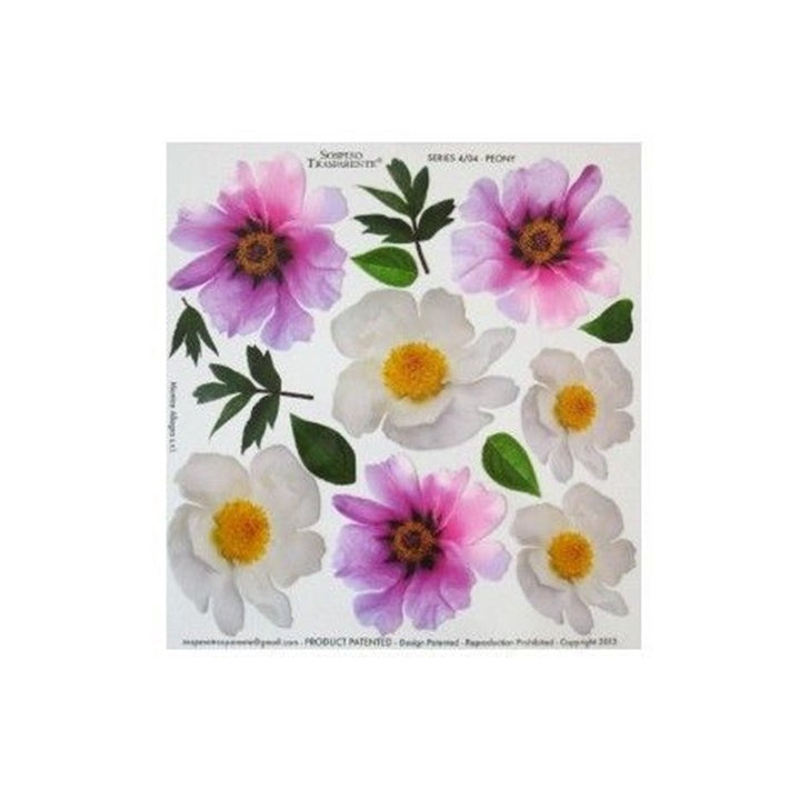 Термофолио за техника sospeso trasparente 23x24 см Peony — изображение 1