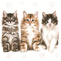 Tree Decoupage Napkins, Beautiful Cats - 1 pc
