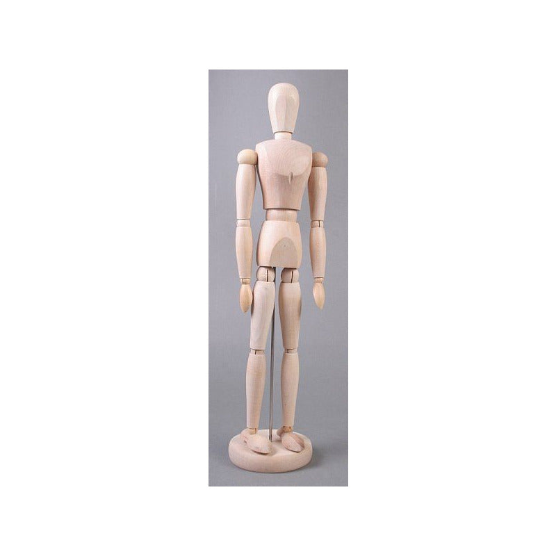 Wooden Human Body Model, Male, 40 cm