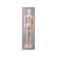 Wooden Human Body Model, Woman, 40 cm